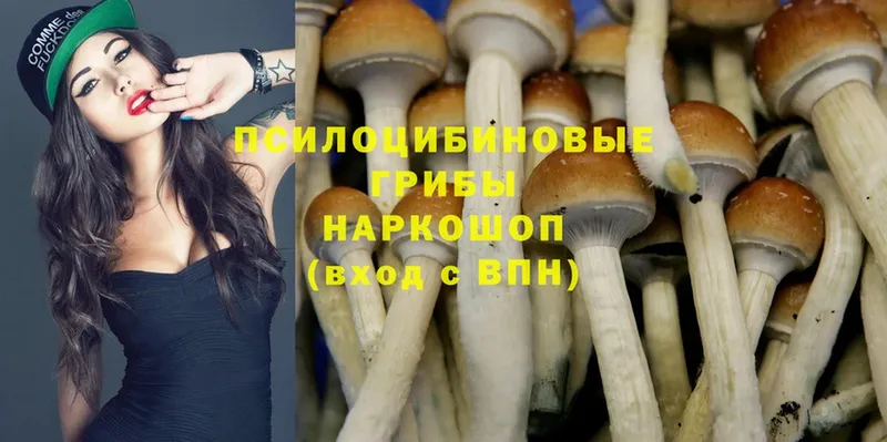 Галлюциногенные грибы Psilocybine cubensis  наркота  МЕГА как зайти  Белинский 